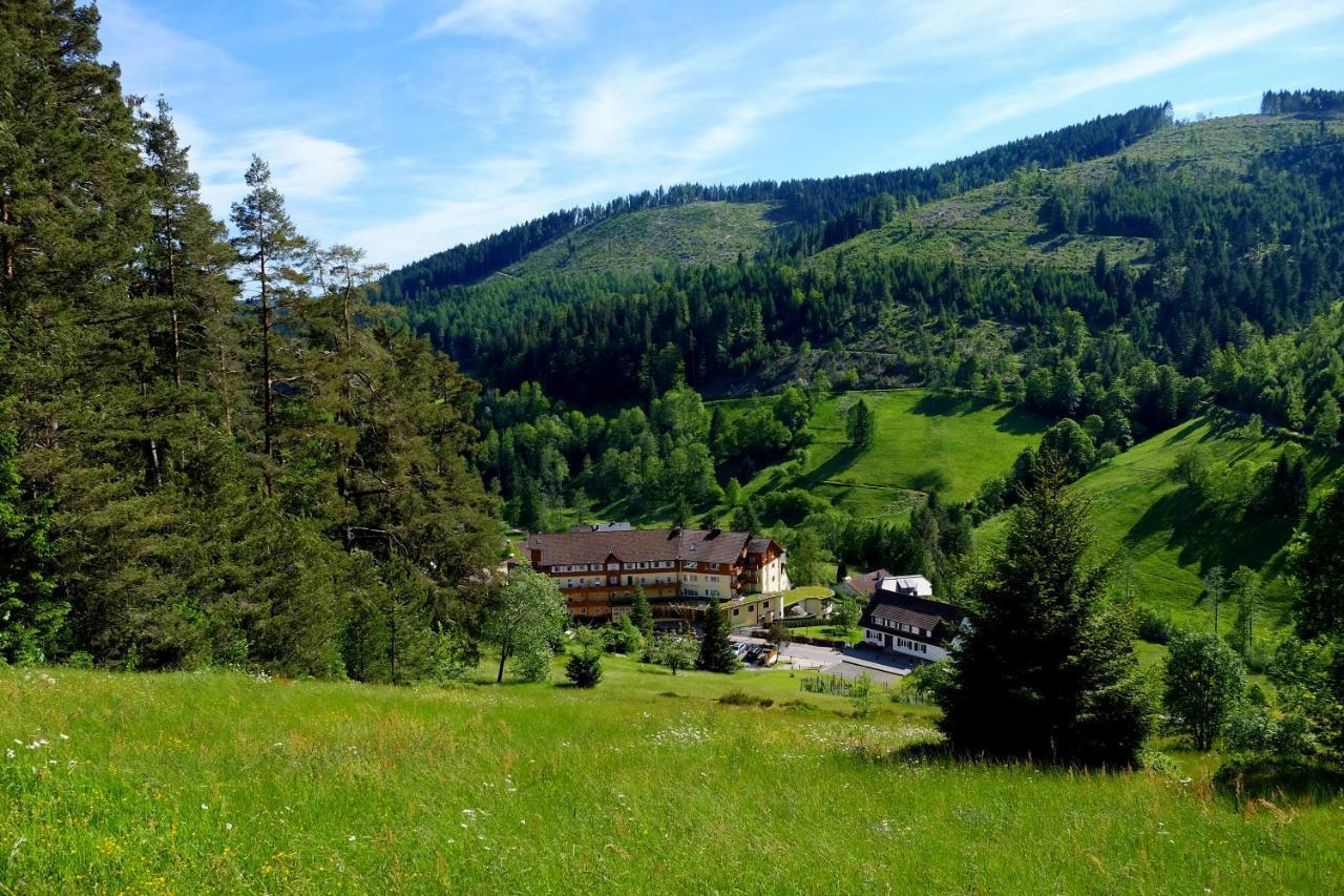 Wellnesshotel Tanne Baiersbronn Εξωτερικό φωτογραφία