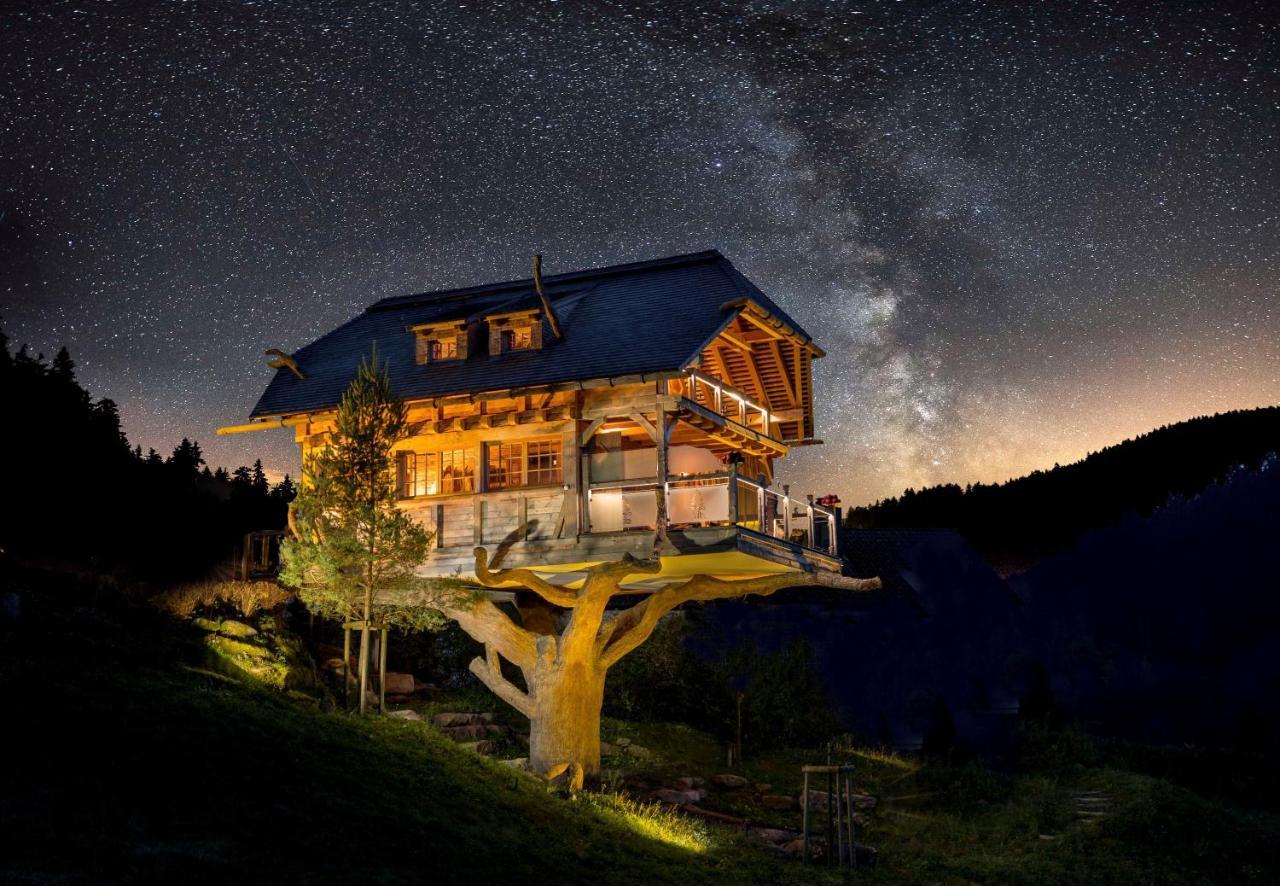 Wellnesshotel Tanne Baiersbronn Εξωτερικό φωτογραφία